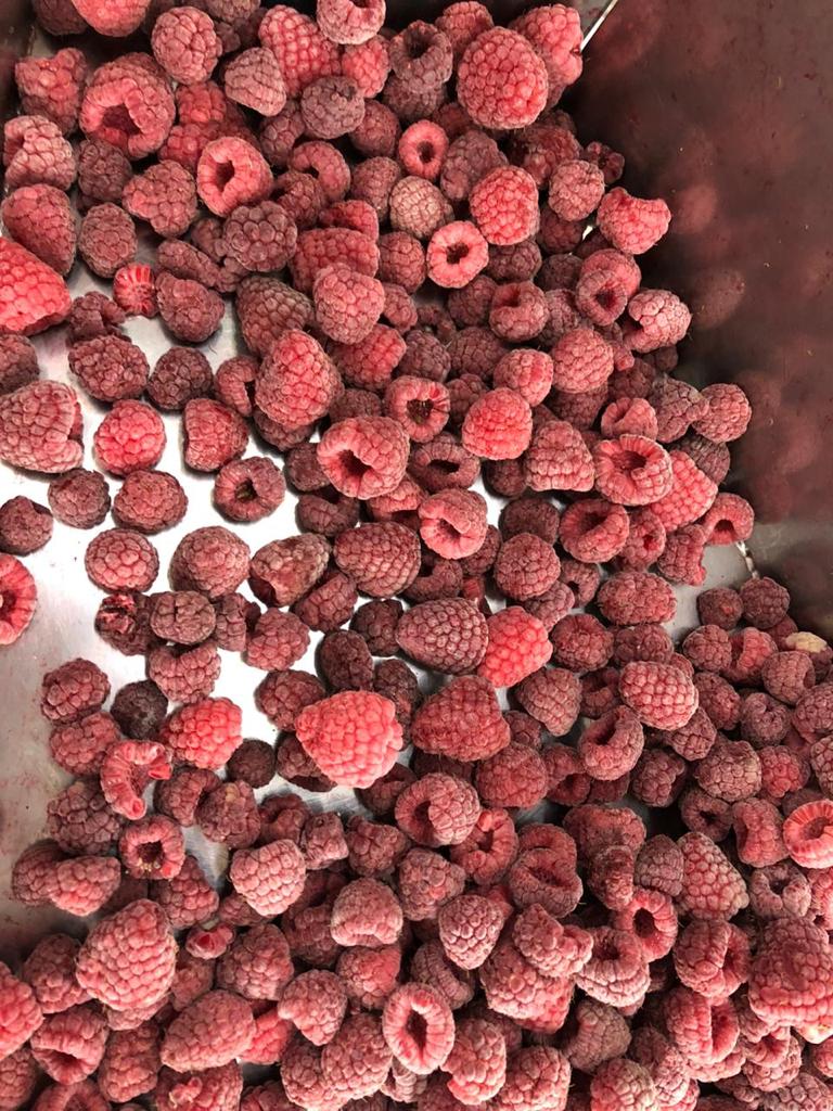 Berries Lomas De Vasquez2