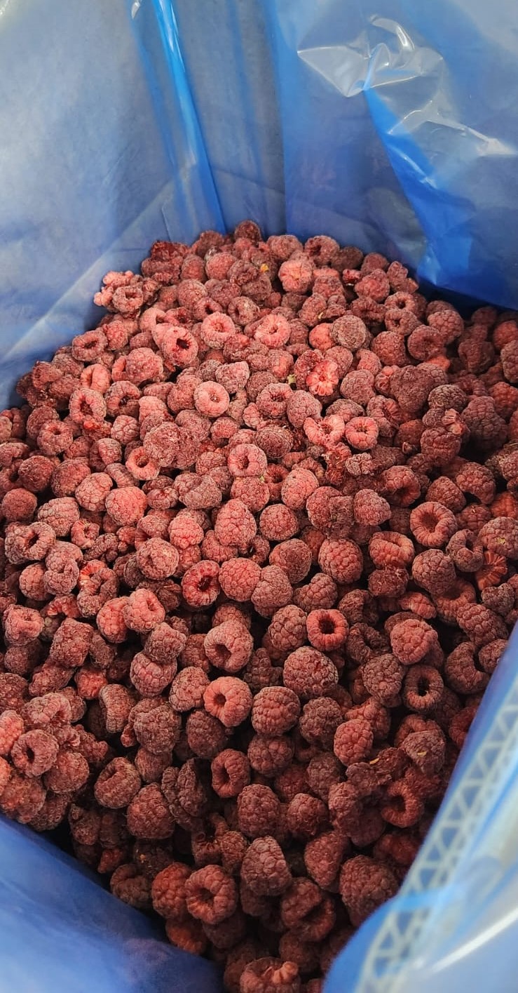 Berries Lomas De Vasquez4