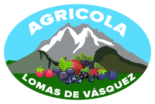 Logo Berries Lomas de Vásquez